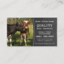 Recherche de boeufs cartes visite Ferme