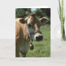 Recherche de vache à jersey vœux cartes Champ