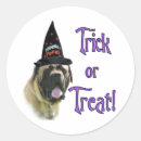 Recherche de mastiff autocollants Anglais