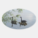Recherche de oie sauvage autocollants Nature
