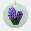 Recherche de jacinthe ornements Printemps