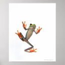 Recherche de blooded posters Échelles