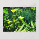 Recherche de lanceur cartes postales Nature