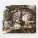 Recherche de zoologie tapis souris Mammifère