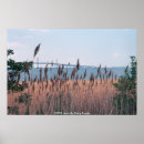Recherche de chesapeake posters Pont