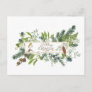 Recherche de pomme de pin cartes postales Pour tous