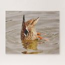 Recherche de canard puzzles Lac