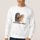 Recherche de teckel Chiot