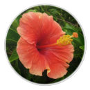 Recherche de hibiscus boutons et poignées de porte Fleur d'hibiscus