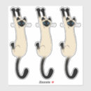 Recherche de grands yeux coques Chat