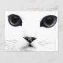 Recherche de chaton vintage cartes postales Amoureux de les chats