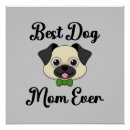 Recherche de chien gris posters Pour elle