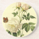 Recherche de roses anglais dessous de verres S'est levé