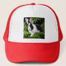 Recherche de lapins casquettes Pour tous