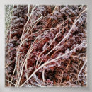 Recherche de sec photographie Nature