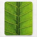 Recherche de feuille vert tapis souris Pour tous