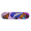 Recherche de assez skateboards Bleu