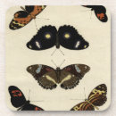 Recherche de insecte dessous de verres Papillons