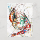 Recherche de crevettes cartes postales Crustacé