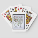 Recherche de 17ème jeux de cartes École
