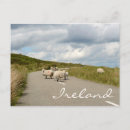 Recherche de route de campagne cartes postales Nature