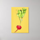 Recherche de radis art Bio