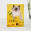 Recherche de joint vœux cartes Chat