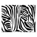 Recherche de rayures zèbre posters Safari