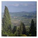 Recherche de roseaux carreaux Personne