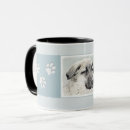Recherche de chien kangal tasses Dog