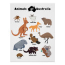 Recherche de australien posters Koala
