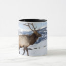 Recherche de bull elk tasses Faune