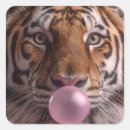 Recherche de portrait de tigre autocollants Faune