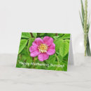 Recherche de rosée de matin vœux cartes Mère