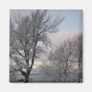 Recherche de glacial photographie Arbres
