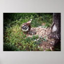 Recherche de grand maman posters Photographie