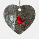 Recherche de cardinal masculin Hiver