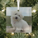 Recherche de pet photo ornements Dog