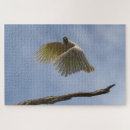 Recherche de perroquet blanc puzzles Oiseau