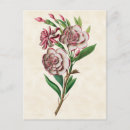 Recherche de gardenia cartes postales Floral