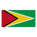 Recherche de la guyane posters Guyana