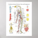 Recherche de artères Médical