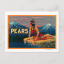 Recherche de fréquence cartes postales Caisse