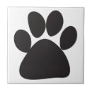 Recherche de ours blancs carreaux Chien