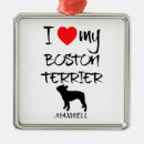 Recherche de terriers ornements Pour animaux