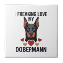 Recherche de dobermann carreaux Chien