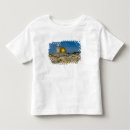 Recherche de dôme tshirts Hébreu