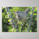 Recherche de consommation posters Nature