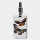 Recherche de mouche accessoires Animaux