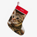 Recherche de coutume de chaussette de noël Animal
